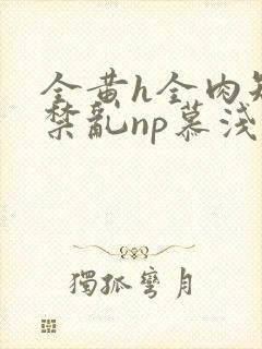 全黄h全肉短篇禁乱np慕浅浅封面