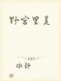 野宫里美封面