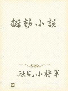 挺动小说