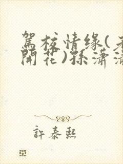 驾校情缘(老树开花)孙潇潇笔趣阁封面