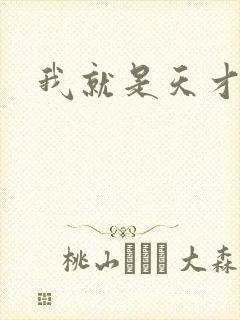 我就是天才封面