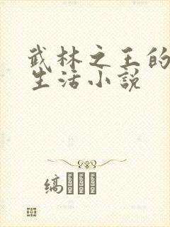 武林之王的退隐生活小说