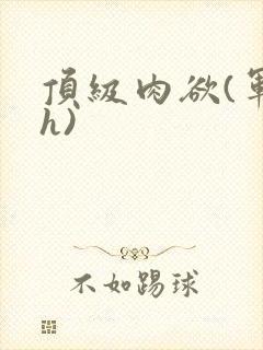 顶级肉欲(军高h)