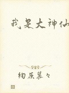 我是大神仙小说