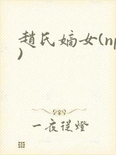 赵氏嫡女(np)