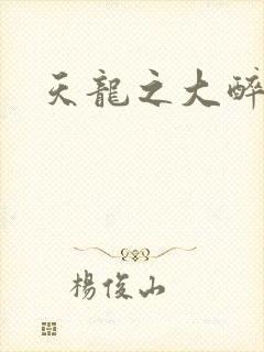 天龙之大醉侠封面