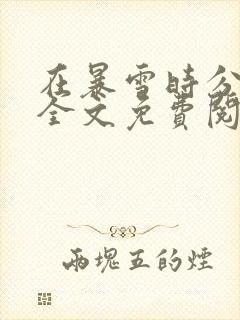 在暴雪时分小说全文免费阅读