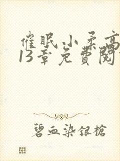 催眠小柔高达第13章免费阅读封面