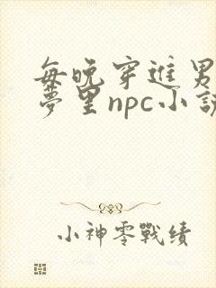 每晚穿进男神的梦里npc小说