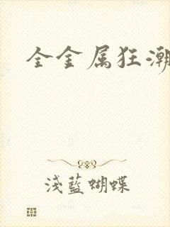 全金属狂潮小说