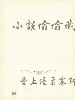 小说偷偷藏不住