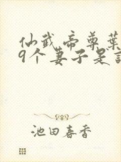 仙武帝尊叶辰19个妻子是谁