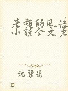 老赵的风流人生小说全文免费阅读封面