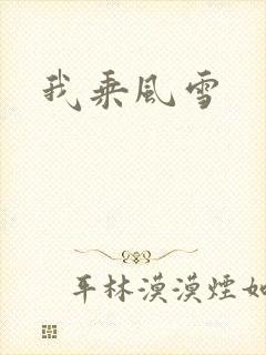 我乘风雪