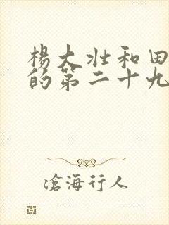 杨大壮和田桂花的第二十九