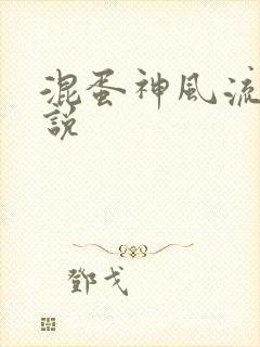 混蛋神风流史小说封面