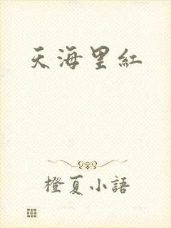 天海里红封面