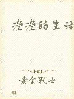 滢滢的生活日记封面