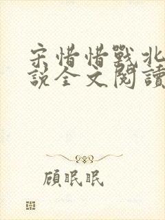 宋惜惜战北望小说全文阅读封面