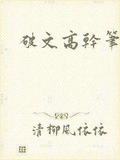 破文高干笔趣阁封面
