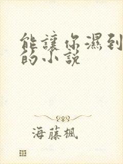 能让你湿到不行的小说