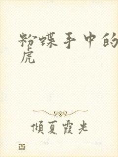 粉蝶手中的纸老虎