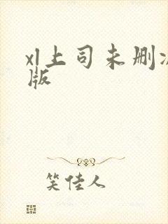 xl上司未删减版