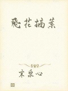 飞花摘叶封面