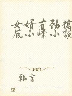 女婿有劲枪枪到底小峰小说