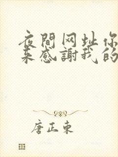 夜间网址你会回来感谢我的封面