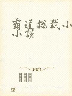 霸道总裁小娇妻小说