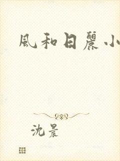 风和日丽小说封面