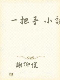 一把手 小说