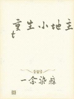 重生小地主txt封面