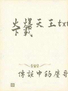 火爆天王txt下载
