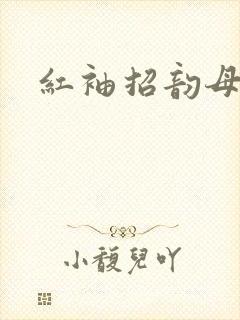 红袖招韵母攻略