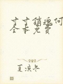 寸寸销魂何生祥全本免费