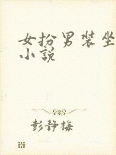 女扮男装坐江山小说