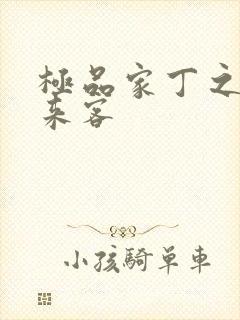 极品家丁之远方来客