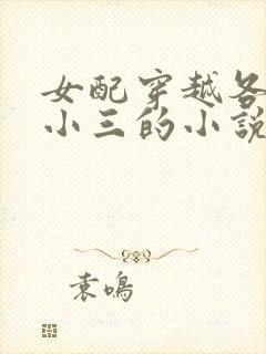 女配穿越各个做小三的小说