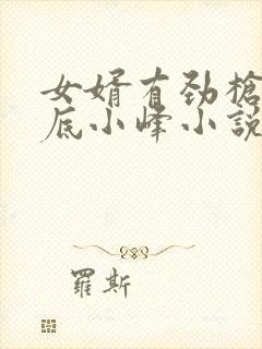 女婿有劲枪枪到底小峰小说封面