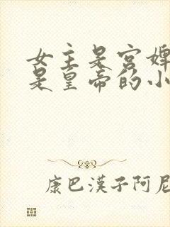 女主是宫婢男主是皇帝的小说封面