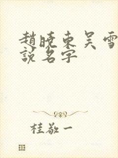 赵晓东吴雪晴小说名字