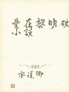 爱在黎明破晓前小说