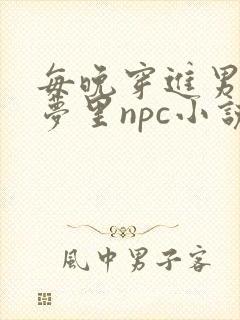 每晚穿进男神的梦里npc小说