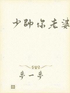 少帅你老婆