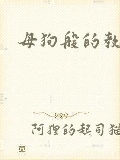 母狗般的教师封面