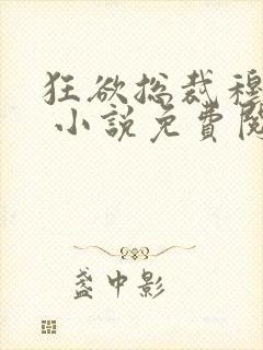 狂欲总裁穆非雪 小说免费阅读