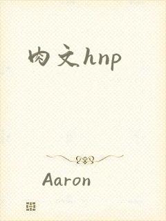 肉文hnp