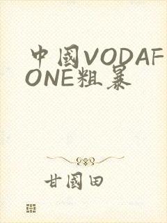 中国VODAFONE粗暴
